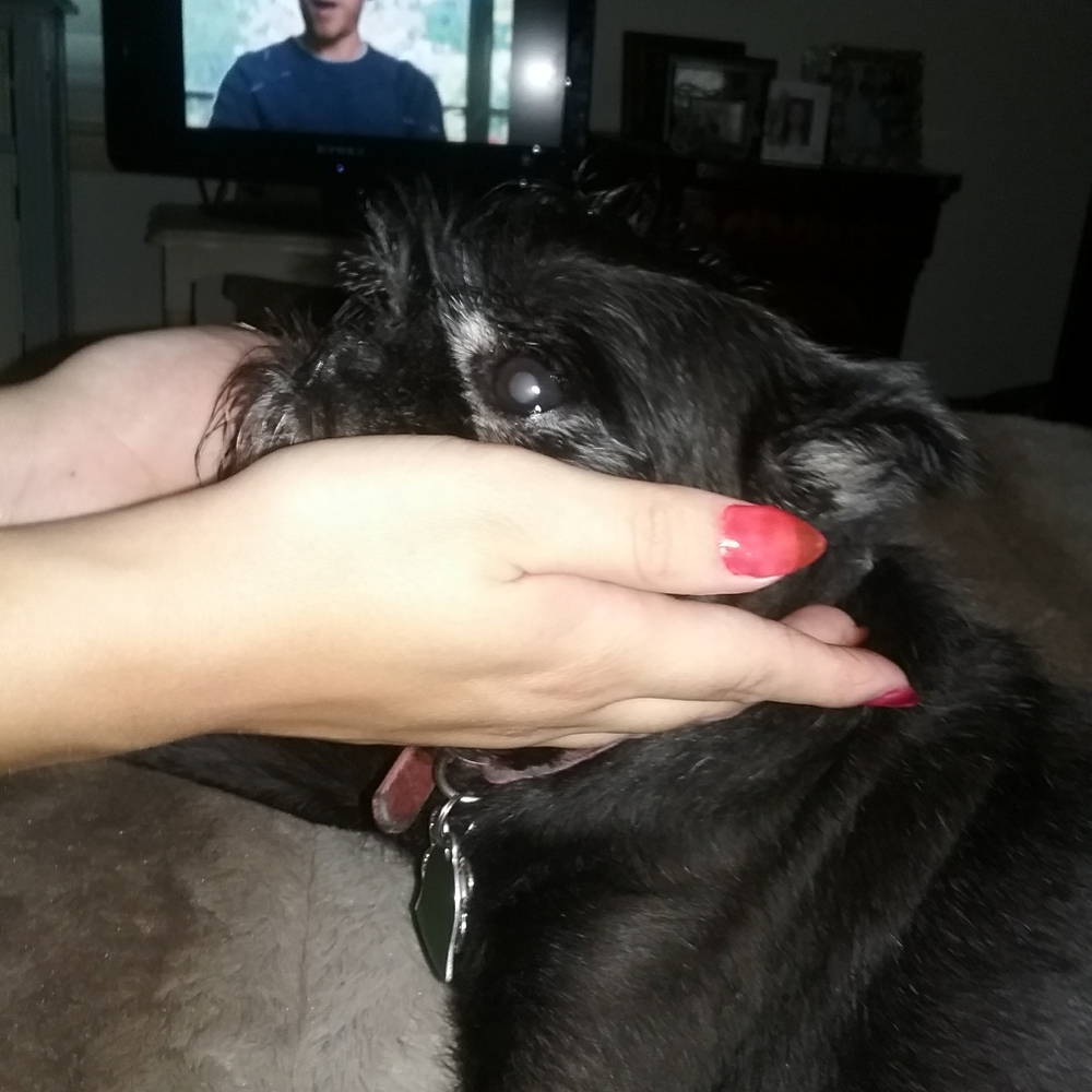 Meet your Posher, Susan